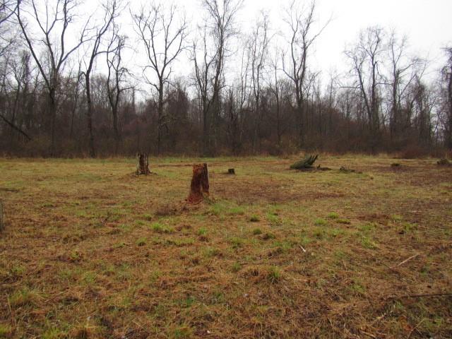 1047 Cinder Road Dunbar, PA 15431 - Photo 3 of 20 a view of a yard with a tree