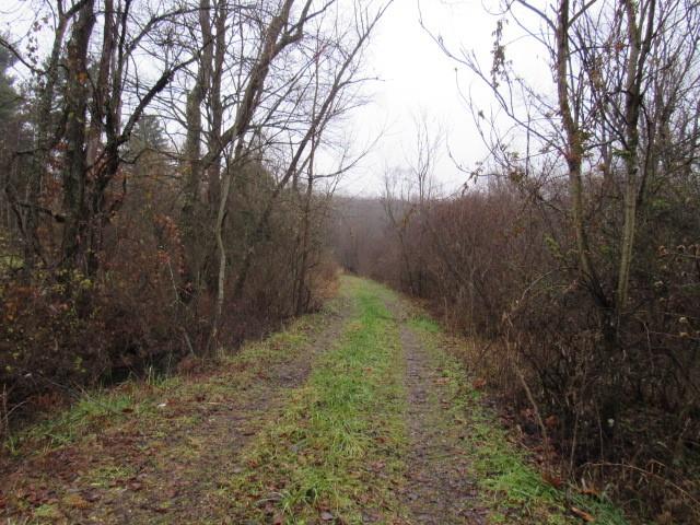 1047 Cinder Road Dunbar, PA 15431 - Photo 6 of 20 a view of a yard with large trees