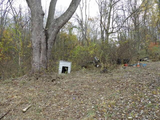 1047 Cinder Road Dunbar, PA 15431 - Photo 8 of 20 a backyard of a house with lots of green space