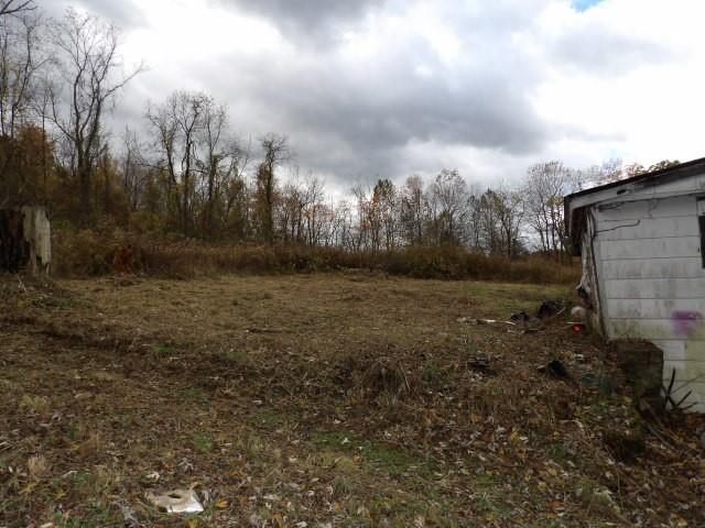 1047 Cinder Road Dunbar, PA 15431 - Photo 10 of 20 a view of outdoor space with green space