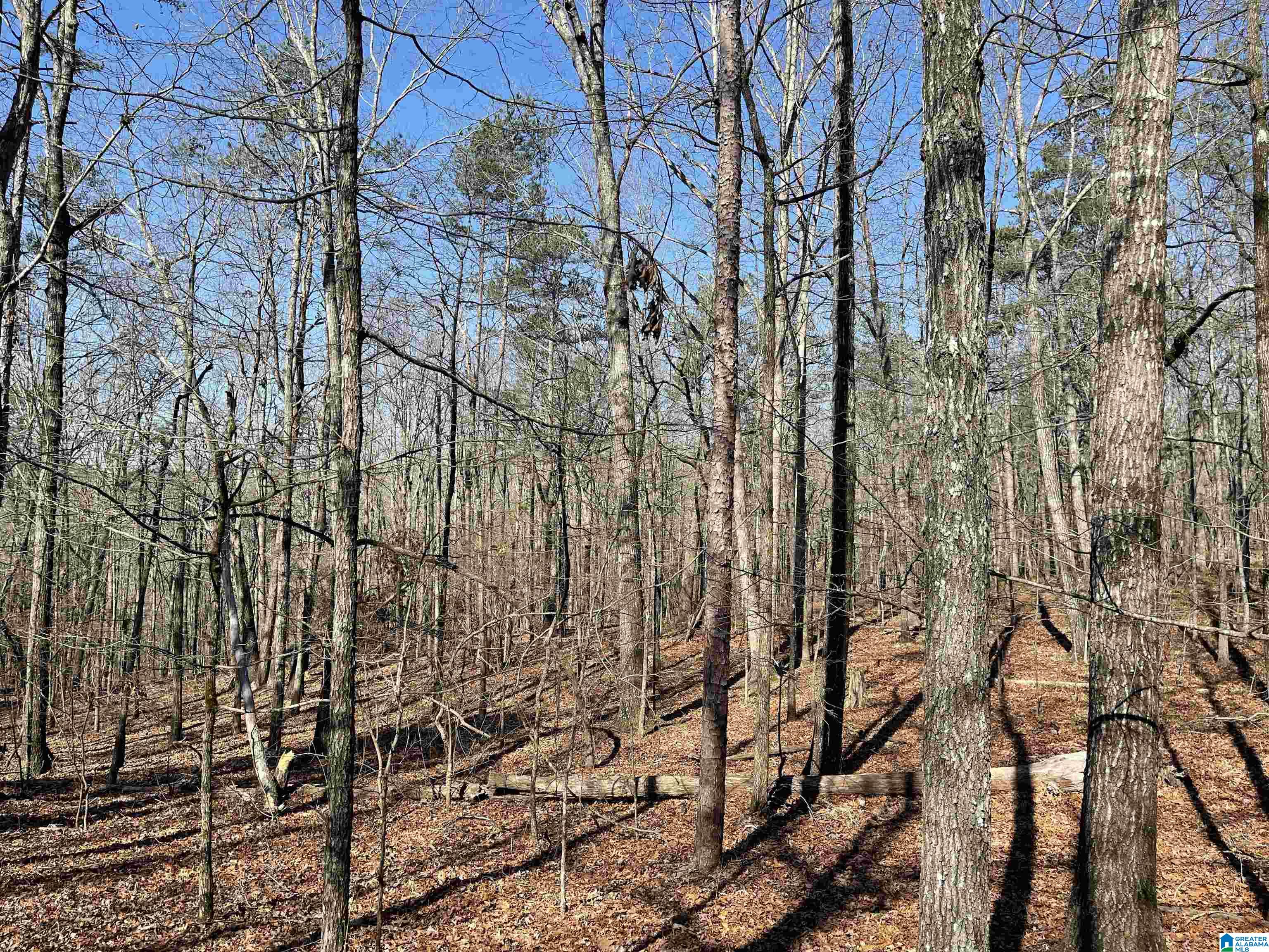 0 County Road 852, Unit 3 Ranburne, AL 36273 - Photo 11 of 23