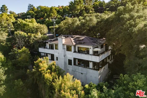 a view of a yard with plants and large trees