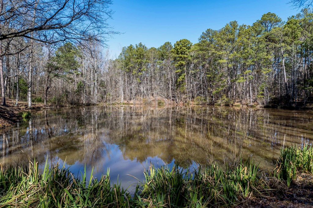 11500 County Line Road Midland, GA 31820 - Photo 71 of 73