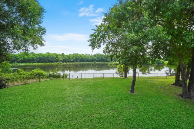 a view of a park with large trees