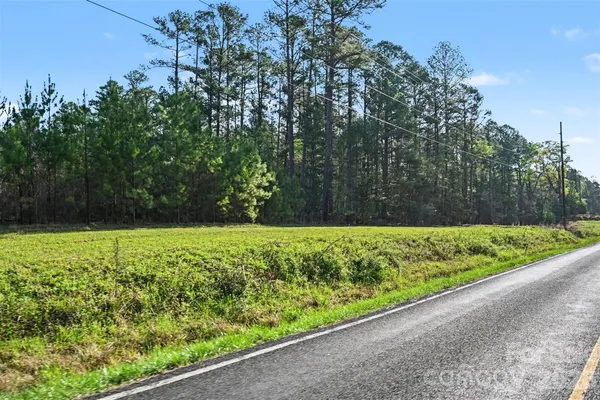 a view of a forest with a yard