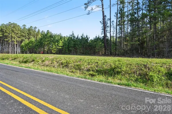 a view of a yard with plants and large trees