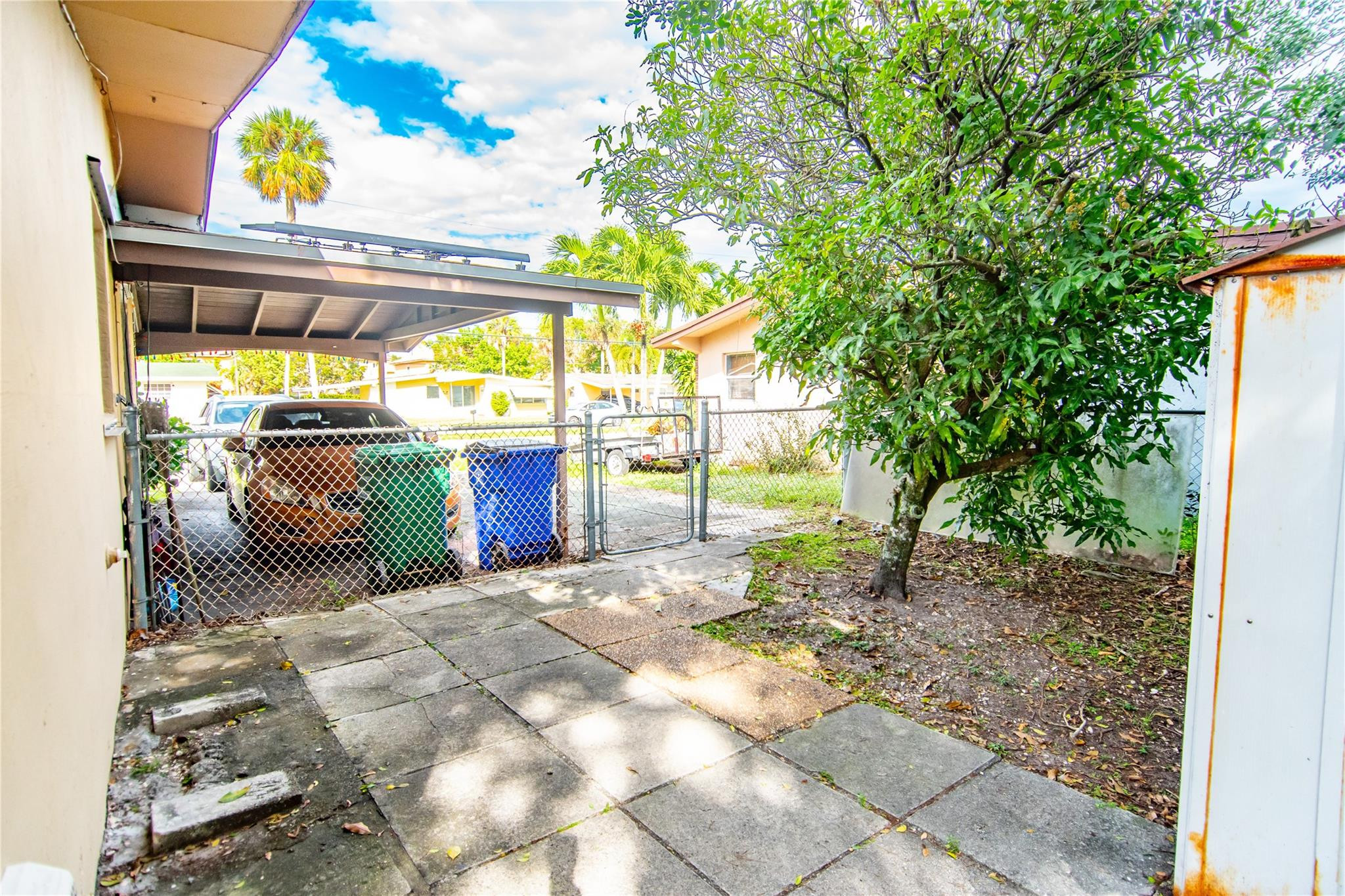 5554 Southwest 6th Street Pompano Beach, FL 33068 - Photo 35 of 37 Mini Mango tree