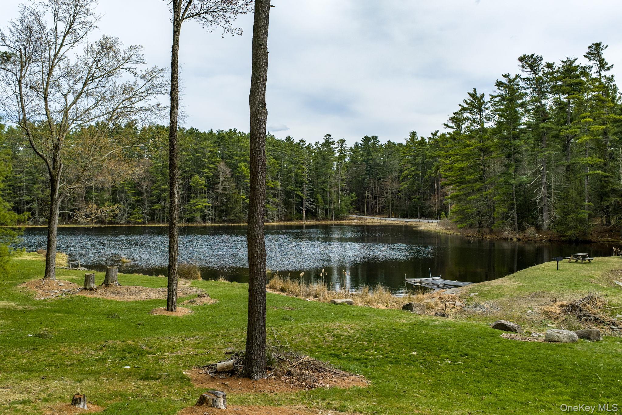 10 Stag Forest Road Forestburgh, NY 12777 - Photo 29 of 44 a view of a lake with a yard