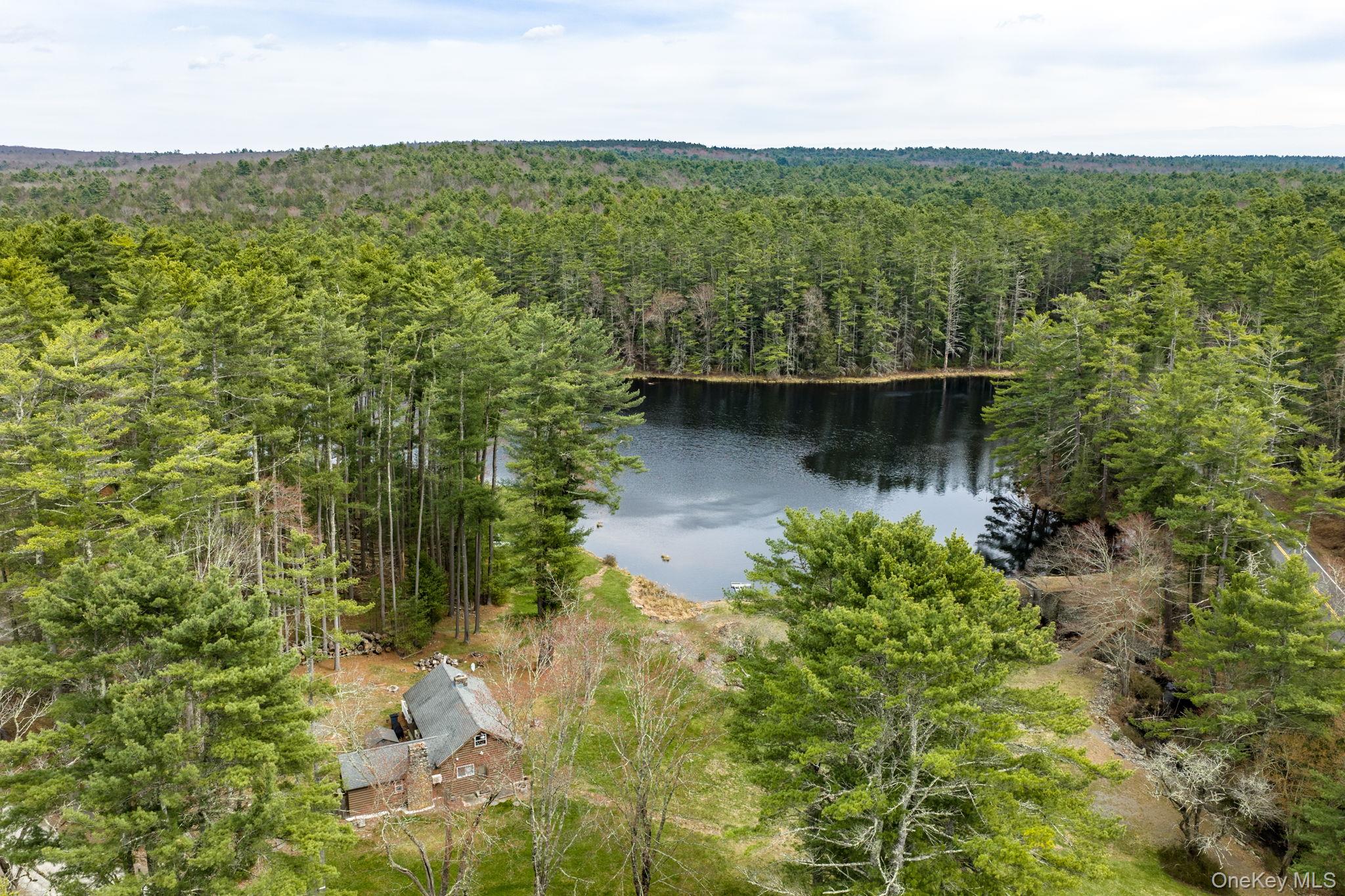 10 Stag Forest Road Forestburgh, NY 12777 - Photo 31 of 44 a view of a lake with a garden
