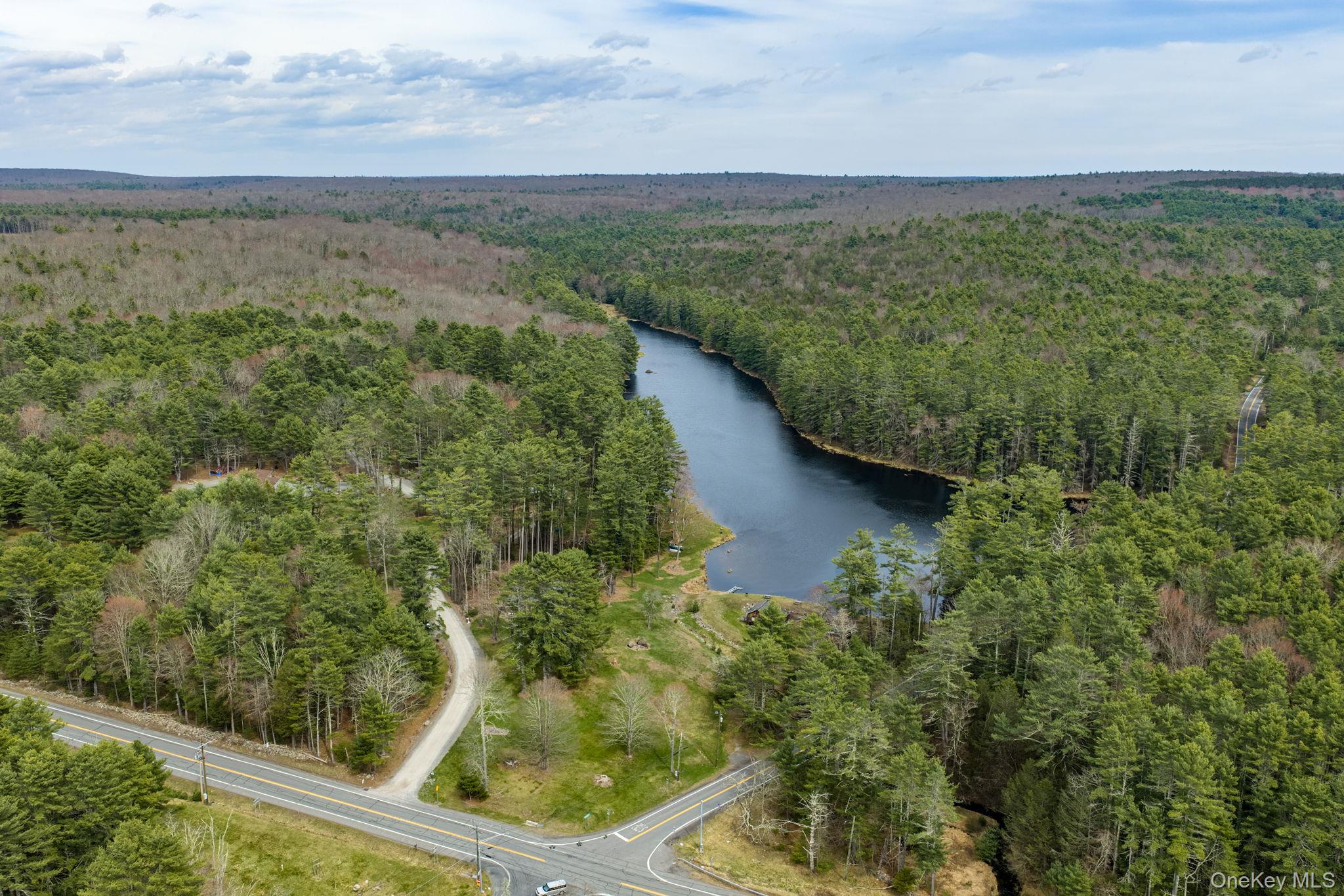 10 Stag Forest Road Forestburgh, NY 12777 - Photo 35 of 44 a view of a lake with outdoor space