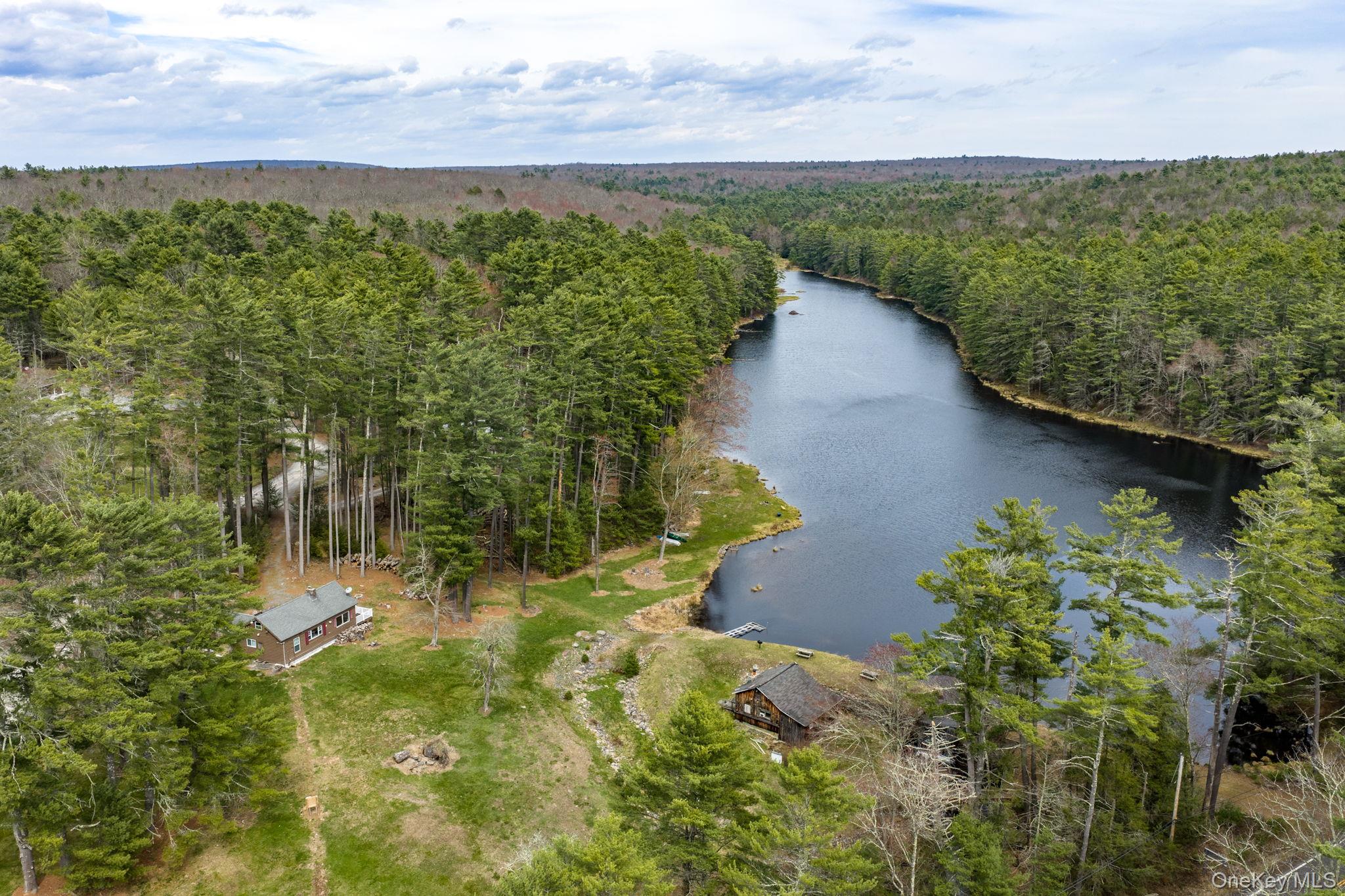 10 Stag Forest Road Forestburgh, NY 12777 - Photo 36 of 44 a view of a lake with a yard