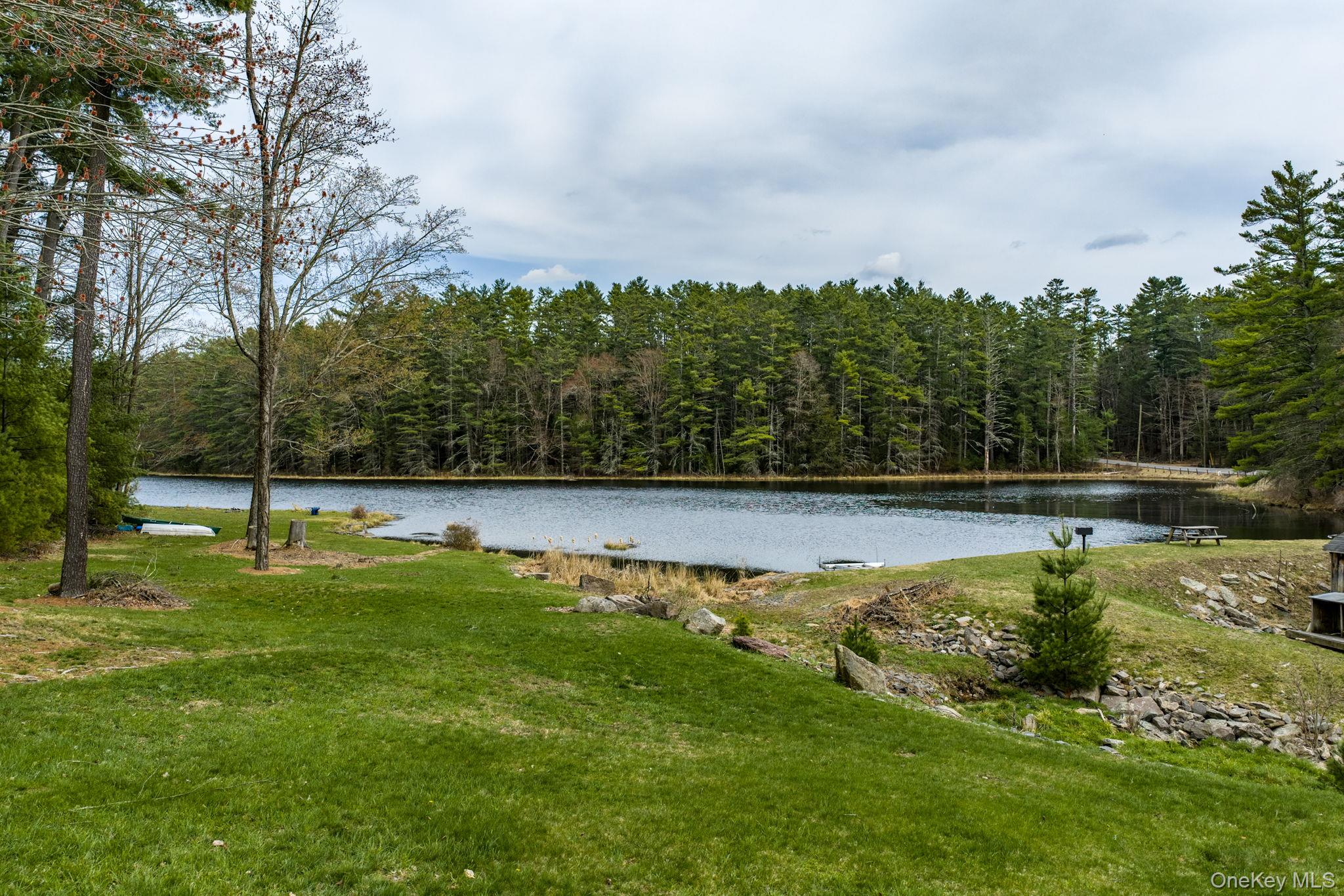 10 Stag Forest Road Forestburgh, NY 12777 - Photo 37 of 44 a view of a swimming pool with a yard