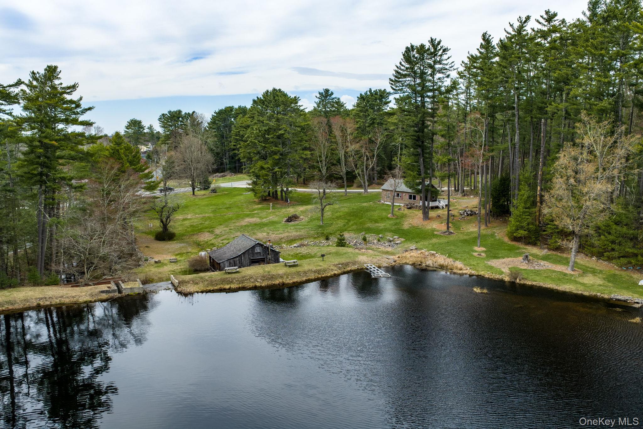 10 Stag Forest Road Forestburgh, NY 12777 - Photo 38 of 44 a view of swimming pool with a yard