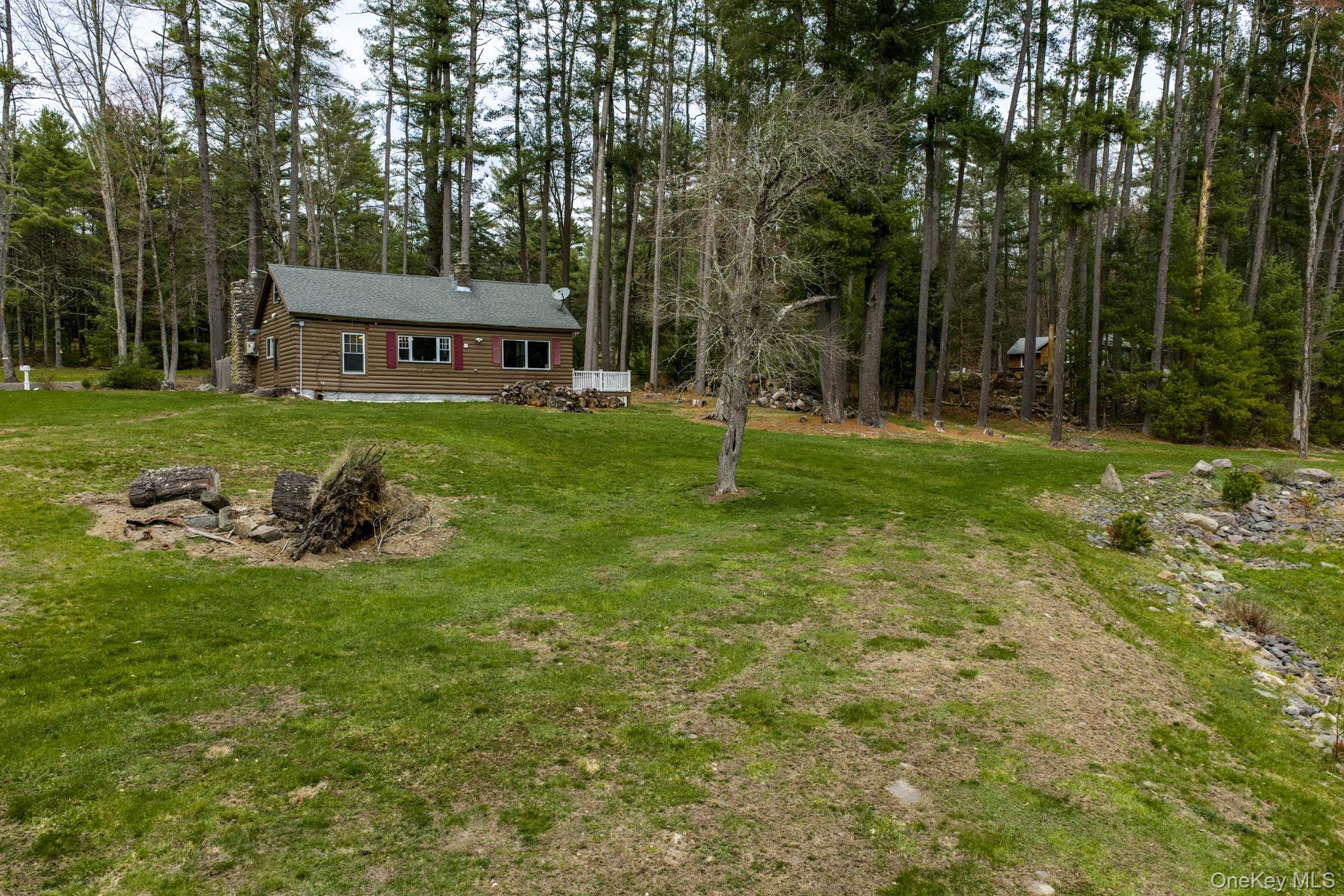 10 Stag Forest Road Forestburgh, NY 12777 - Photo 39 of 44 a view of a house with a backyard