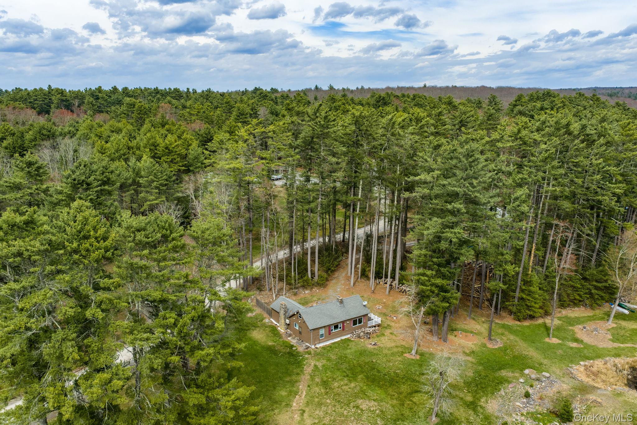 10 Stag Forest Road Forestburgh, NY 12777 - Photo 6 of 44 a view of a garden with an empty room
