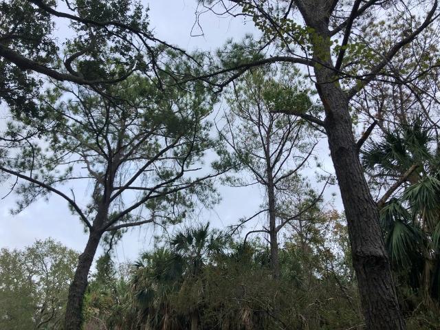 720 Sandpiper Road Edisto Island, SC 29438 - Photo 12 of 20 10