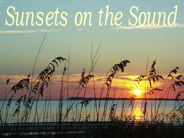720 Sandpiper Road Edisto Island, SC 29438 - Photo 19 of 20 sunsets on the sound