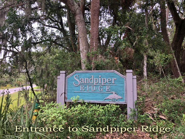720 Sandpiper Road Edisto Island, SC 29438 - Photo 4 of 20 3