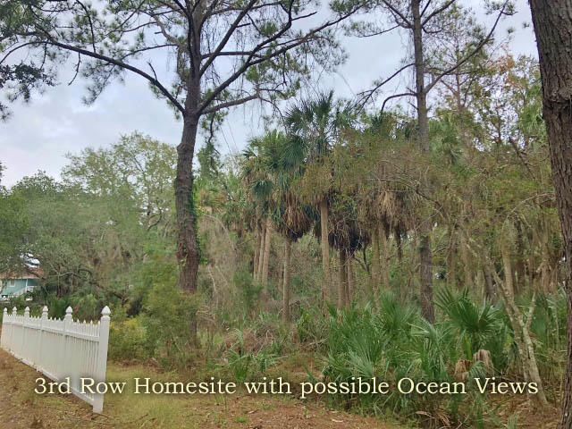 720 Sandpiper Road Edisto Island, SC 29438 - Photo 8 of 20 6