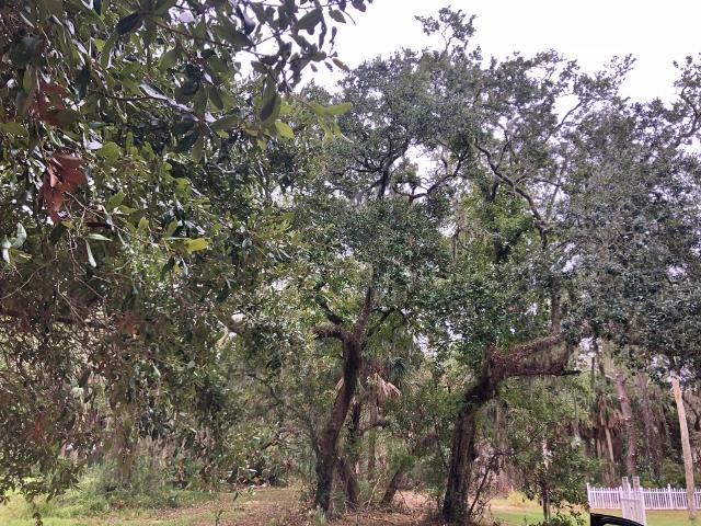 720 Sandpiper Road Edisto Island, SC 29438 - Photo 10 of 20 8