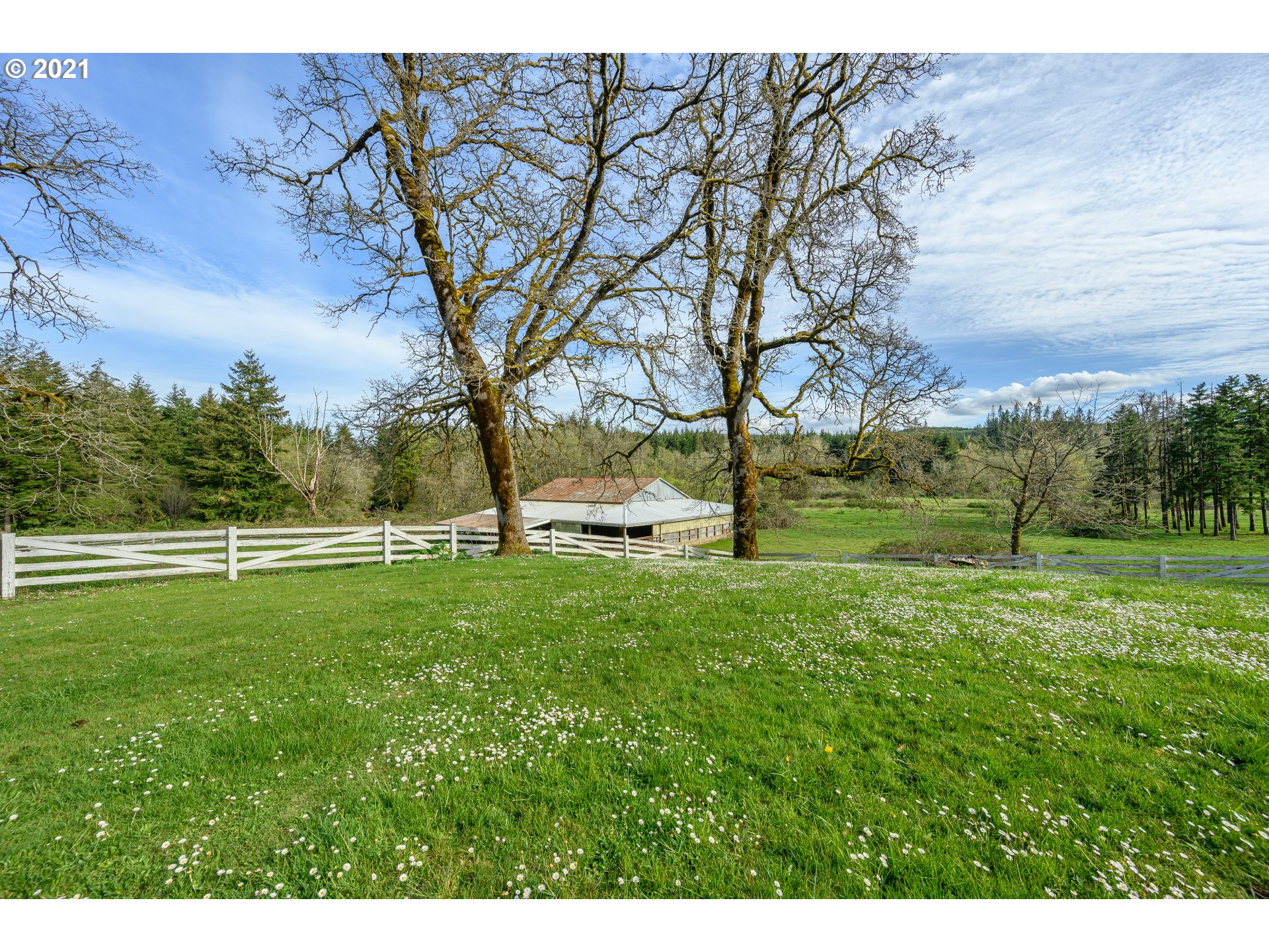 51475 Southwest Hebo Road Grand Ronde, OR 97347 - Photo 29 of 31