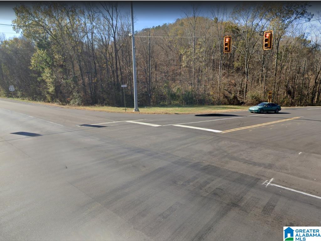 0 Highway 431 Ohatchee, AL 36271 - Photo 2 of 5