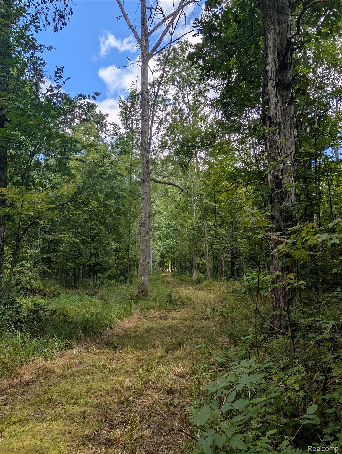 0 South Maywood Road Ashley, MI 48806 - Photo 27 of 32 PXL_20250829_181716293.MP.jpg
