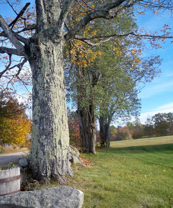 9 North Town Farm Road Oxford, ME 04270 - Photo 2 of 33 Photo
