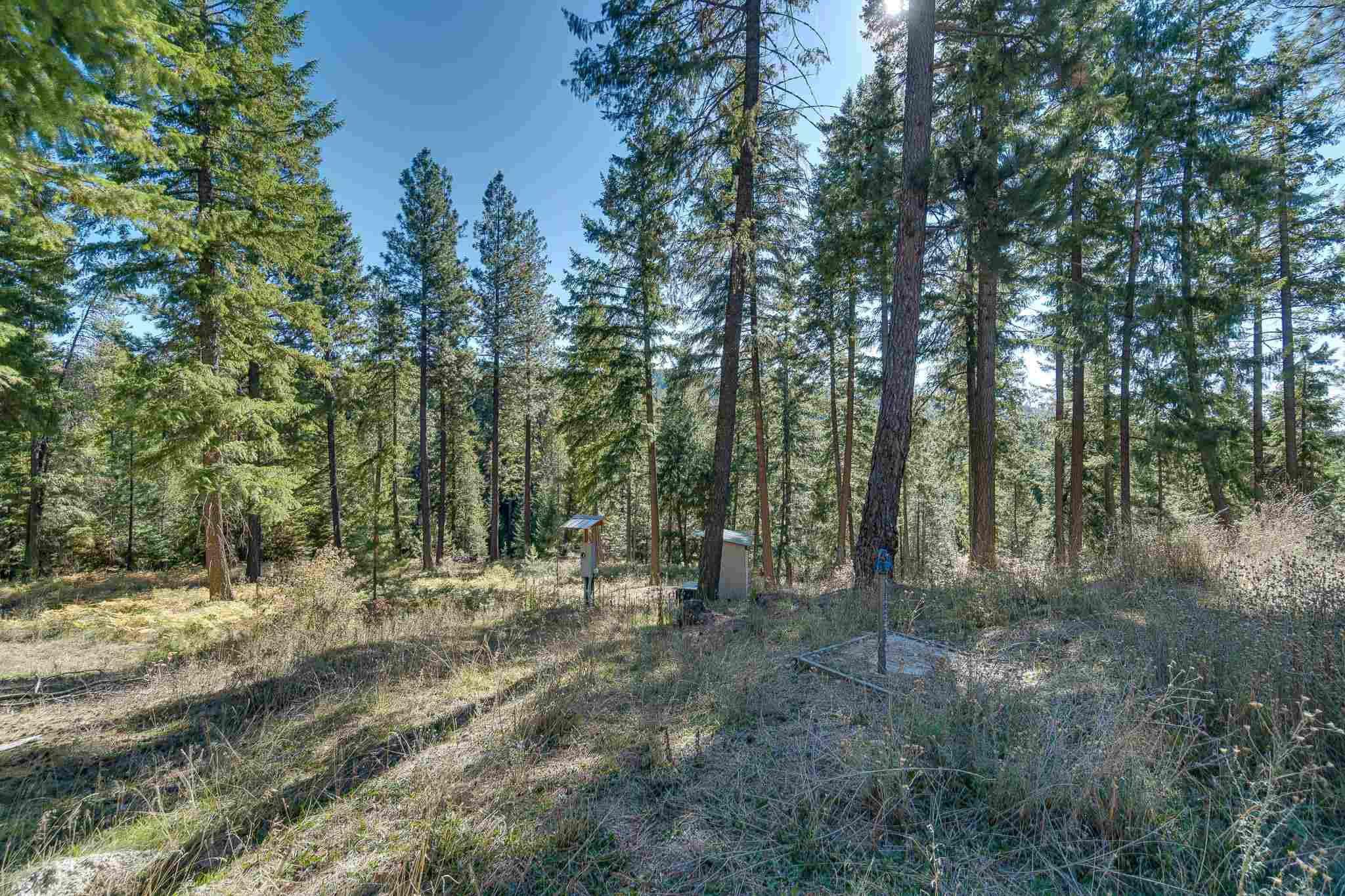 15606 East Nelson Road Elk, WA 99009 - Photo 14 of 18