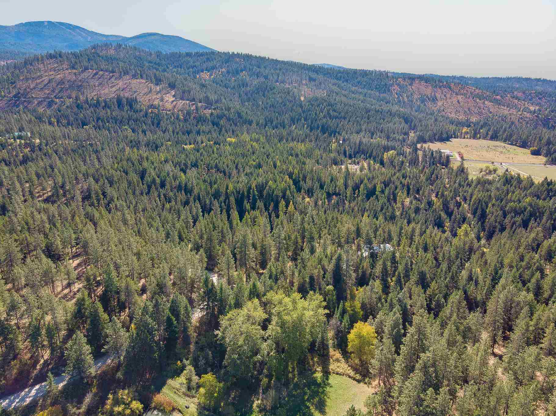 15606 East Nelson Road Elk, WA 99009 - Photo 3 of 18