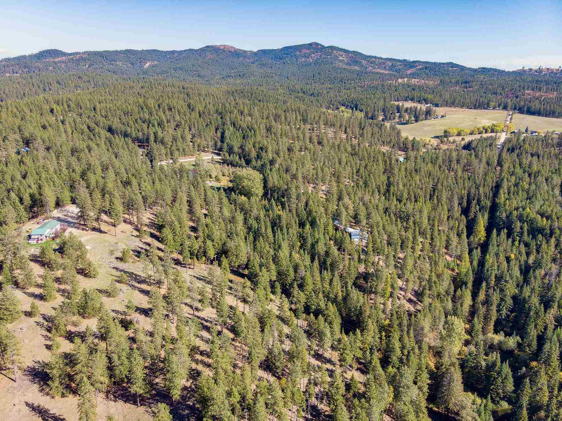 15606 East Nelson Road Elk, WA 99009 - Photo 8 of 18