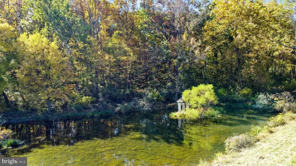 a view of a hallway with wooden floor and entryway