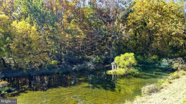a view of a hallway with wooden floor and entryway
