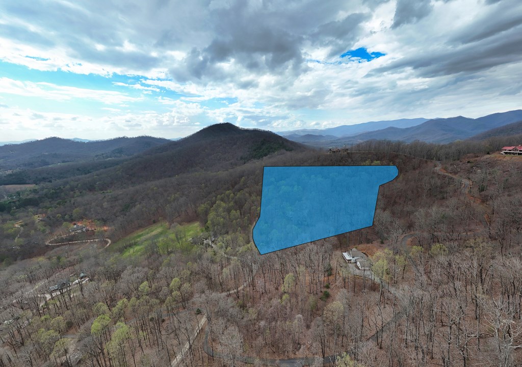 2900 Gribble Edwards Road Hayesville, NC 28904 - Photo 2 of 49