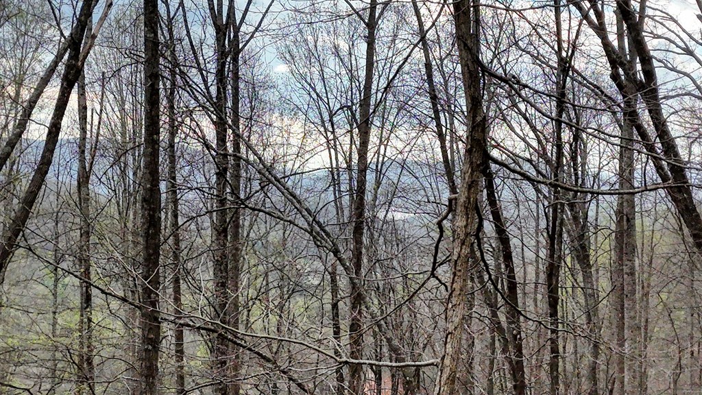 2900 Gribble Edwards Road Hayesville, NC 28904 - Photo 39 of 49