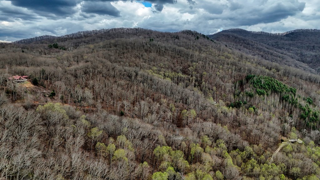 2900 Gribble Edwards Road Hayesville, NC 28904 - Photo 47 of 49