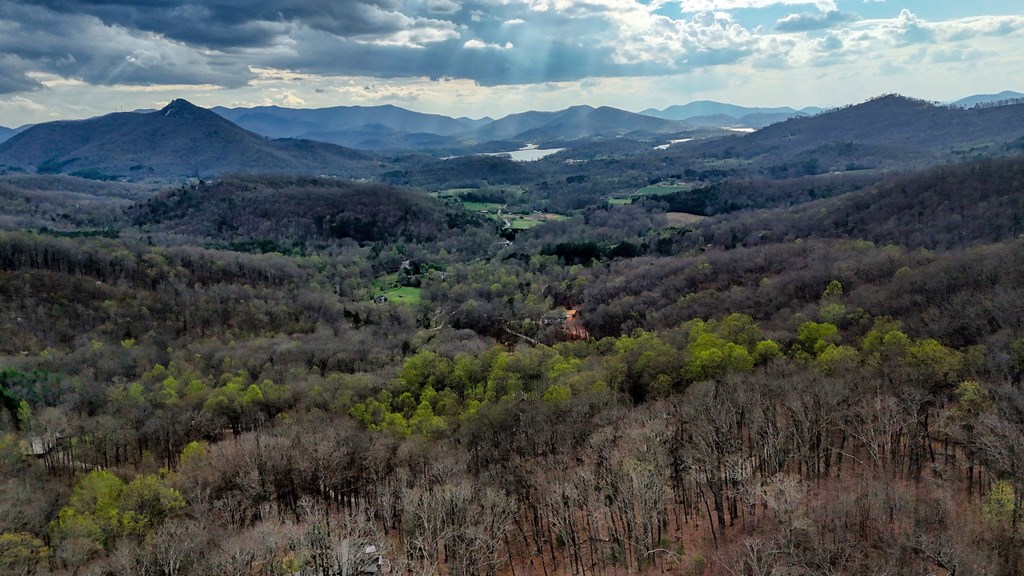 2900 Gribble Edwards Road Hayesville, NC 28904 - Photo 48 of 49