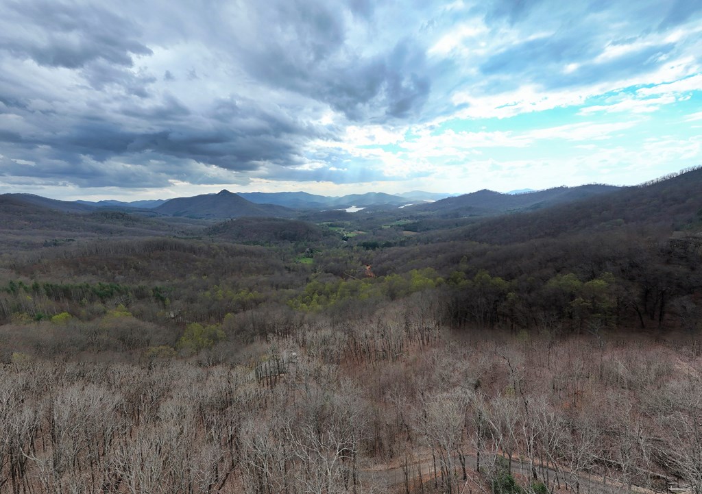 2900 Gribble Edwards Road Hayesville, NC 28904 - Photo 49 of 49