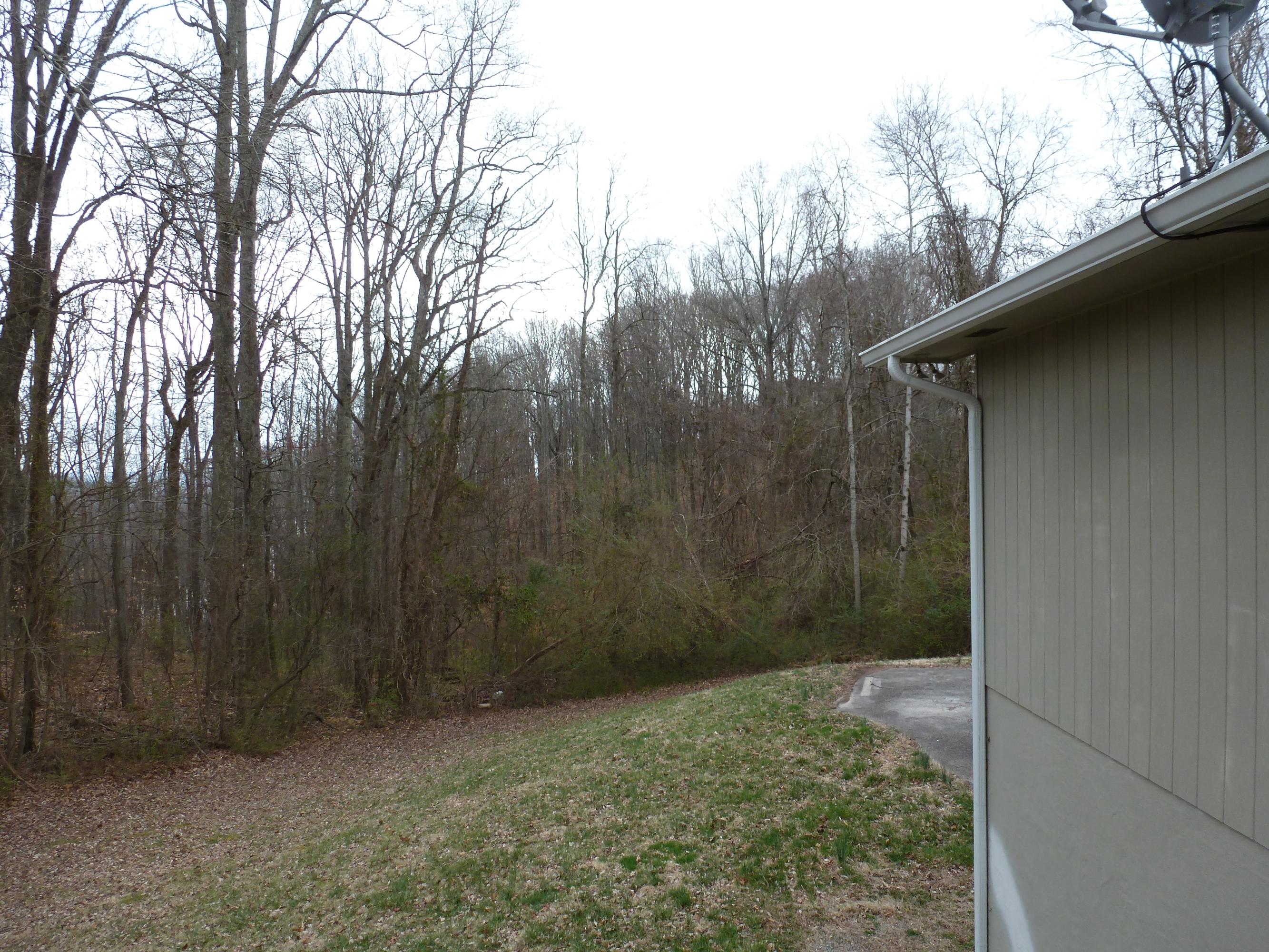 132 Ridge Lane Clinton, TN 37716 - Photo 14 of 16 Side yard