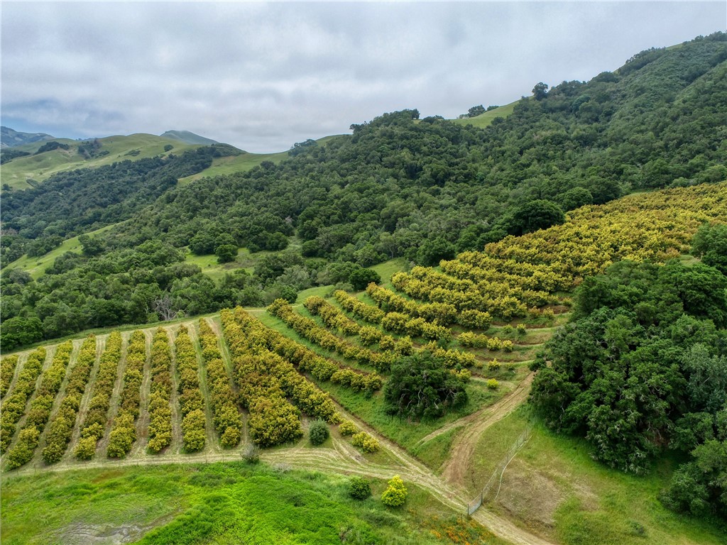 7515 Santa Rosa Creek Road Cambria, CA 93428 - Photo 32 of 43