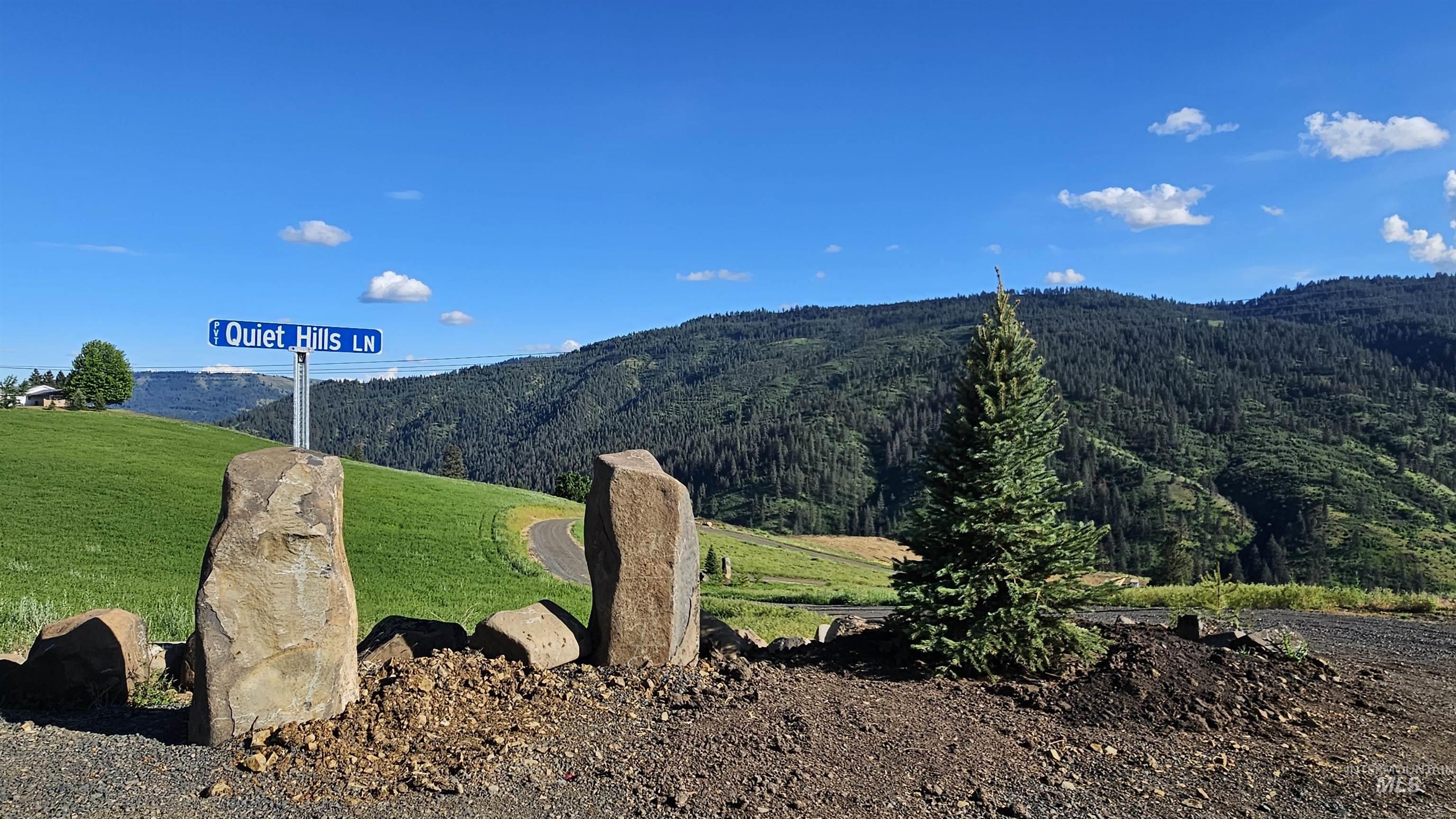 Tbd Lot 5 Tbd Lane Lenore, ID 83541 - Photo 3 of 31