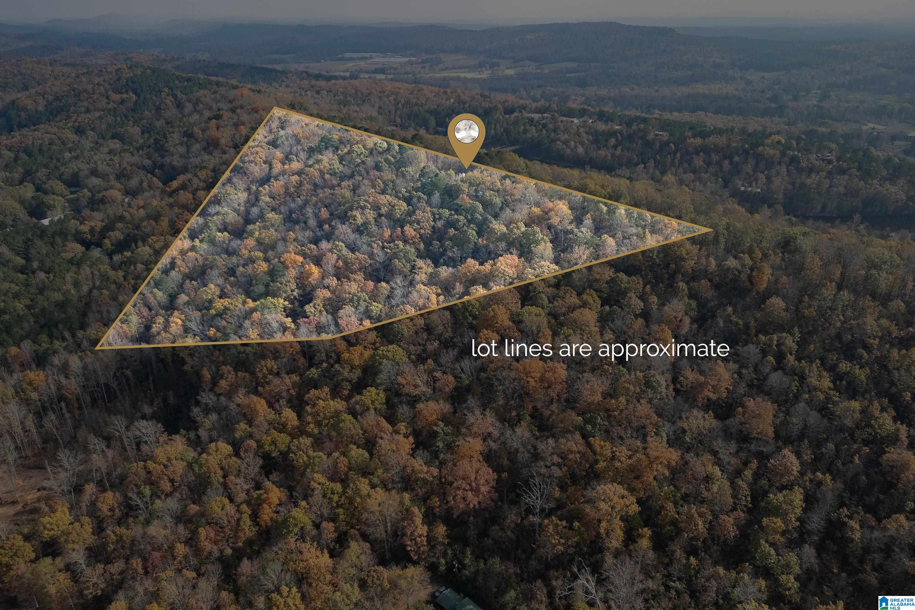 600 Honeysuckle Lane Springville, AL 35146 - Photo 61 of 77