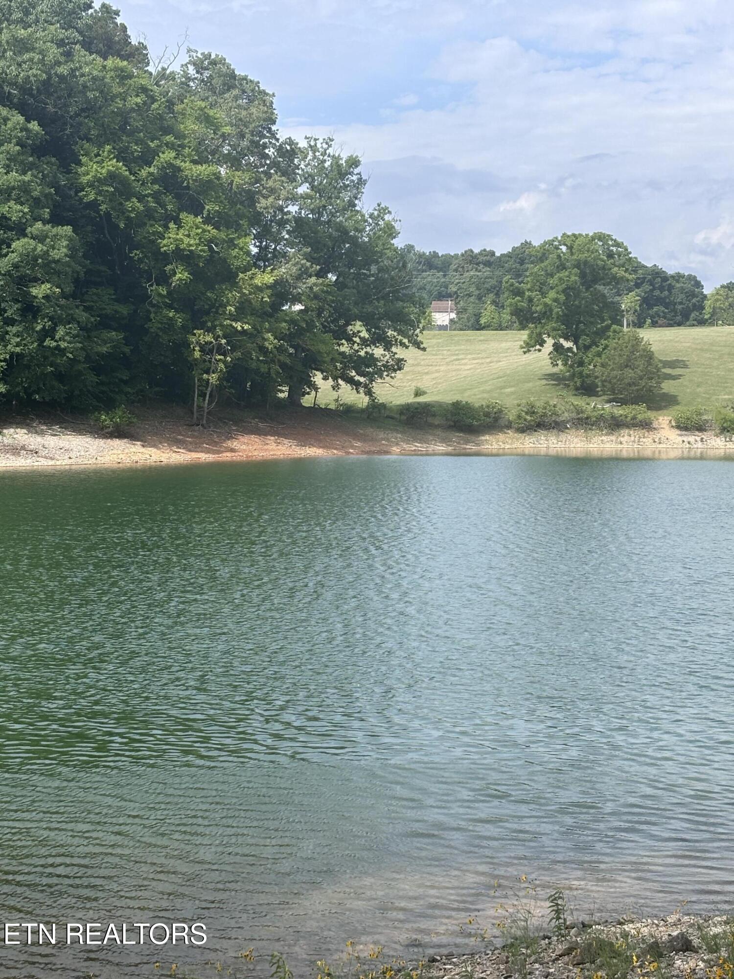 2327 Boat Dock Road Talbott, TN 37877 - Photo 8 of 13 IMG_0034
