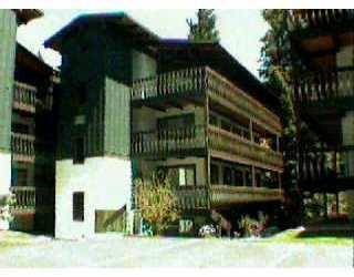 Primary Photo