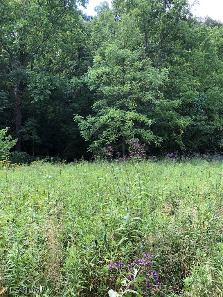 Wion Ridge Road Chandlersville, OH 43727 - Photo 10 of 32 Gallery Image 10