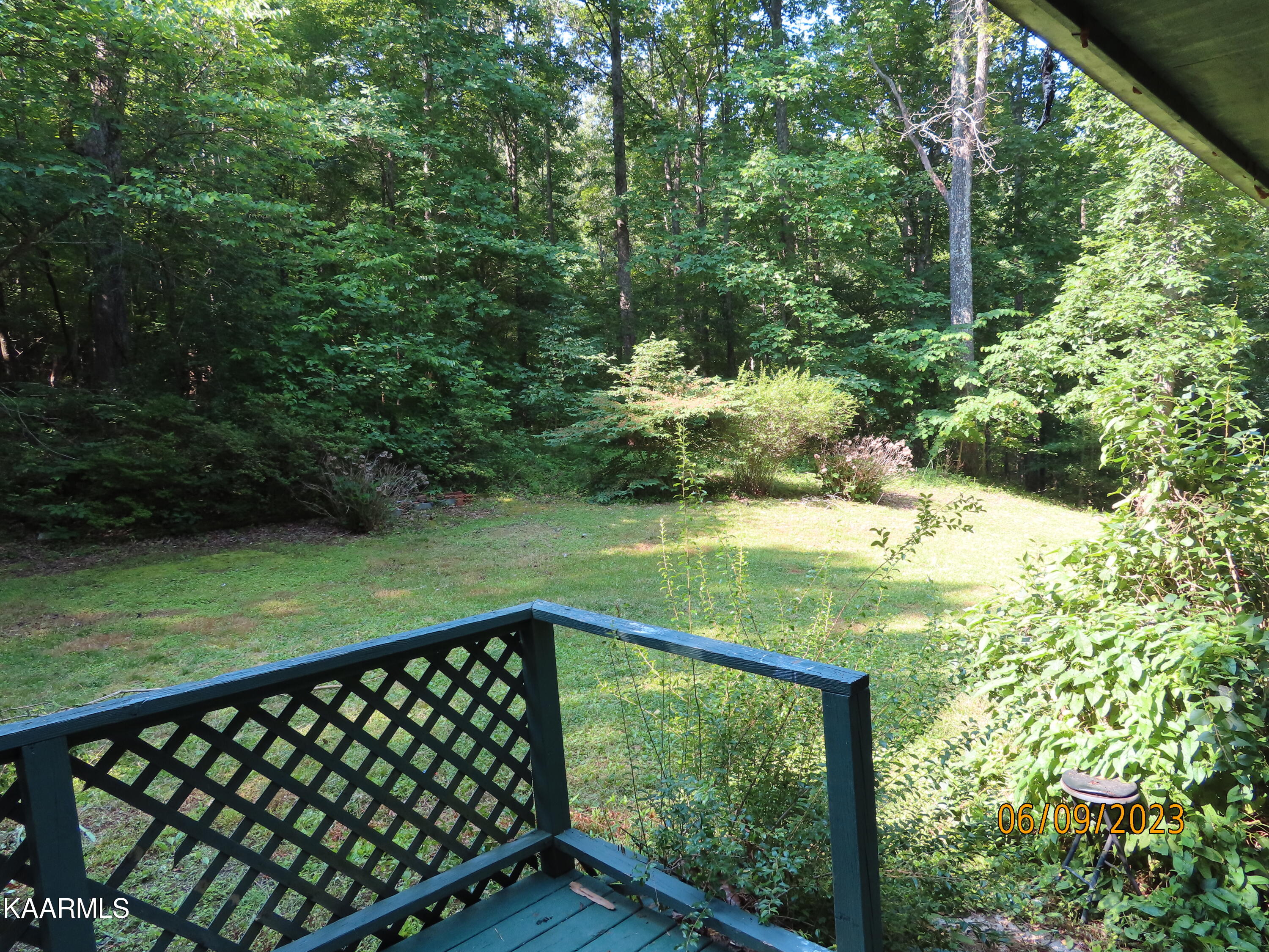 1908 Cove Pointe Road La Follette, TN 37766 - Photo 37 of 43 Back Yard from Dining Area Back Door
