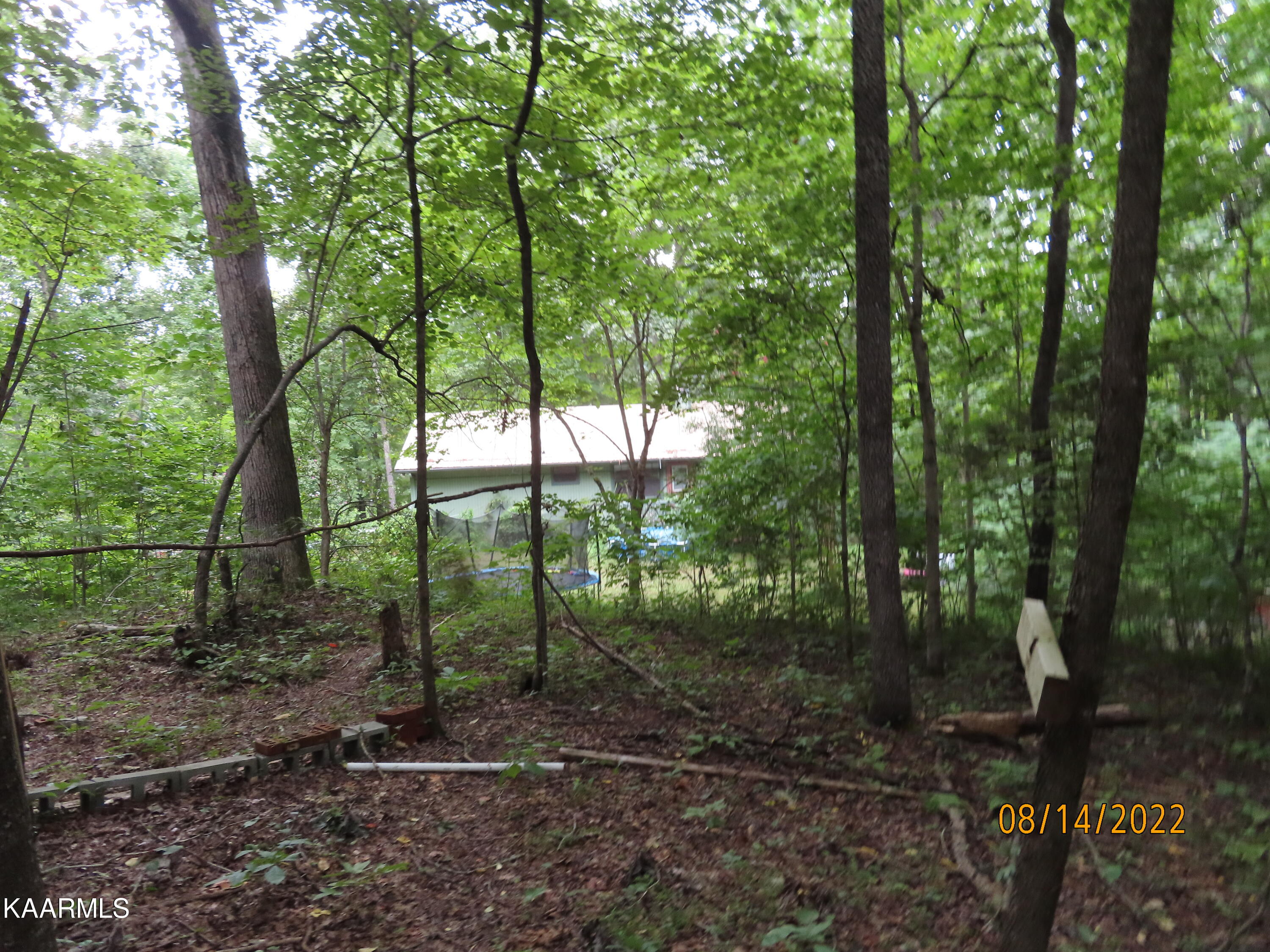 1908 Cove Pointe Road La Follette, TN 37766 - Photo 38 of 43 Back Yard