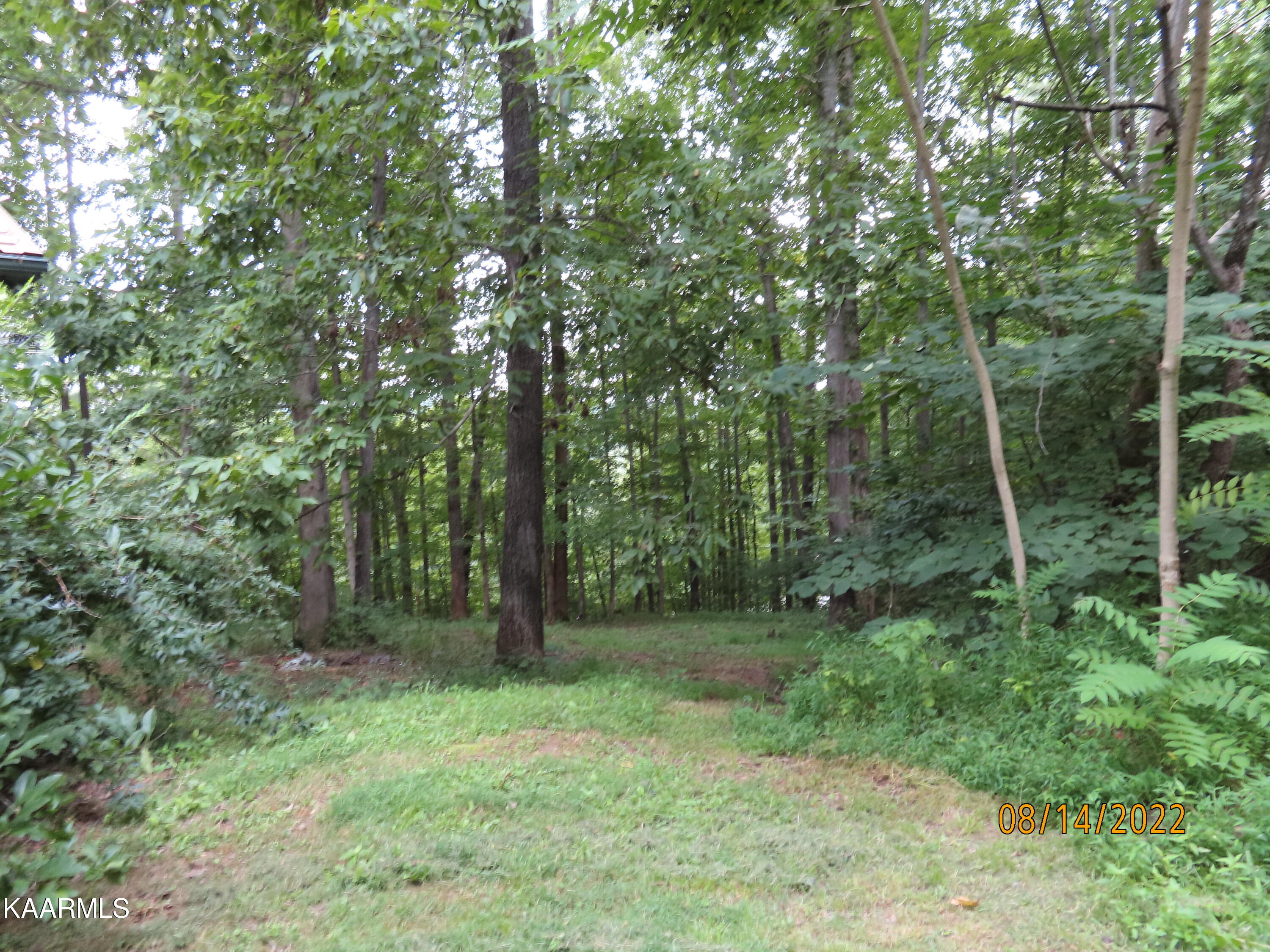 1908 Cove Pointe Road La Follette, TN 37766 - Photo 39 of 43 IMG_1578