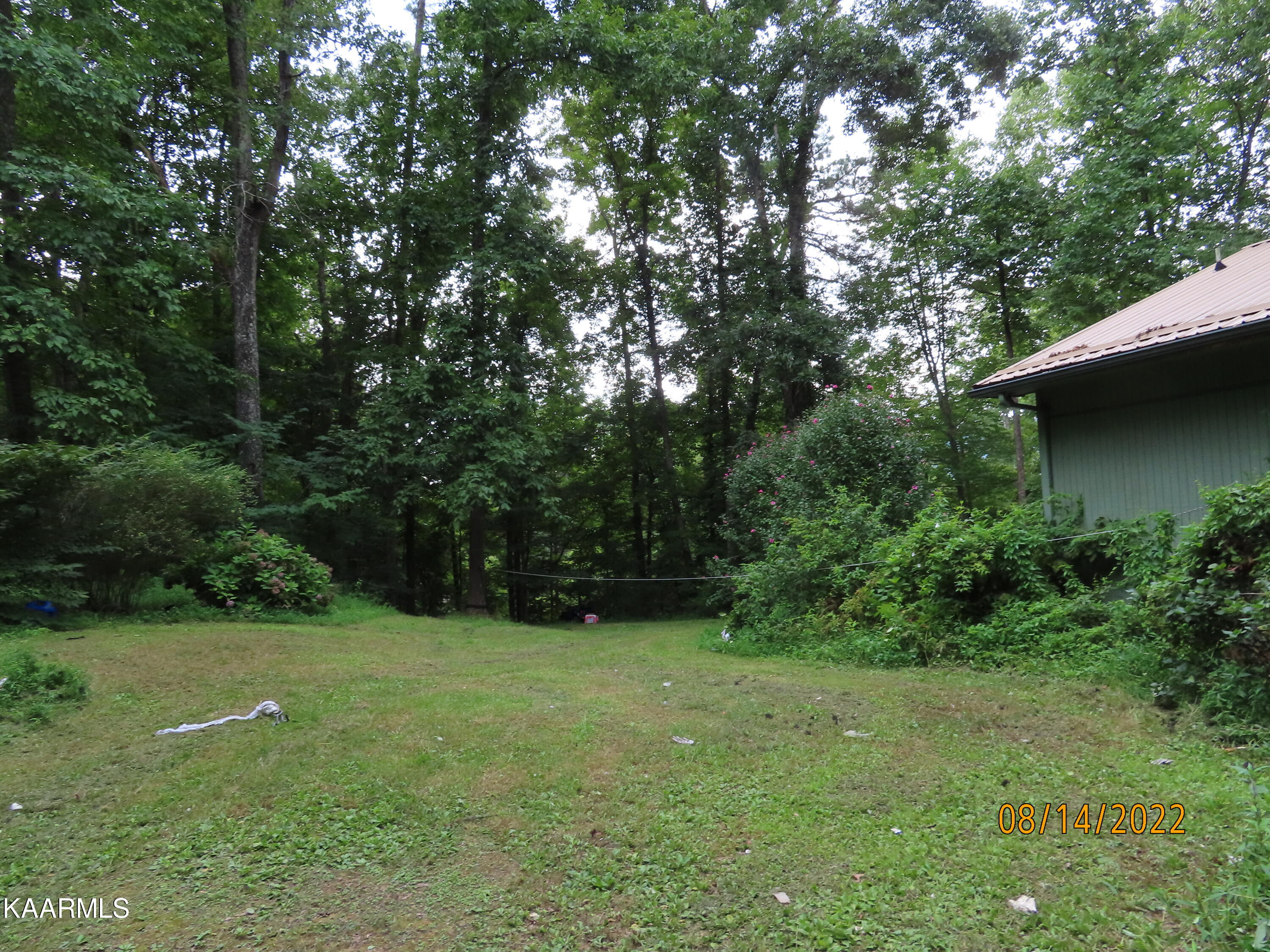 1908 Cove Pointe Road La Follette, TN 37766 - Photo 41 of 43 IMG_1580