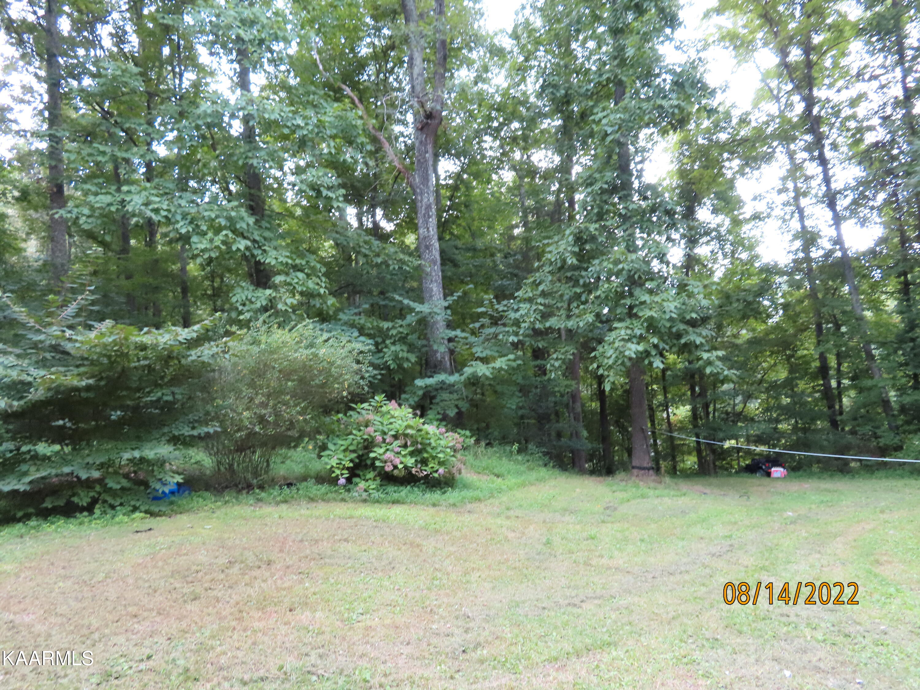 1908 Cove Pointe Road La Follette, TN 37766 - Photo 42 of 43 IMG_1581